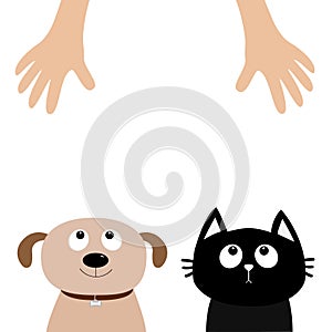 Helping hand. Dog Cat Pet adoption. Puppy pooch kitty cat looking up to human hands. Flat design. Help homeless animal concept. Wh photo