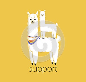 Helping others. Responsive big white alpaca supporting baby lama