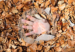 Helpless hand of the young man submerged by the dry fallen leaves