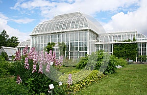 Helsinki botanical garden