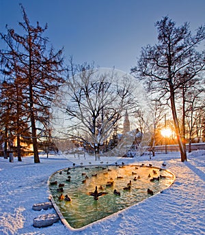 Helsinki park with pond