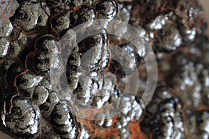 hematite mineral background