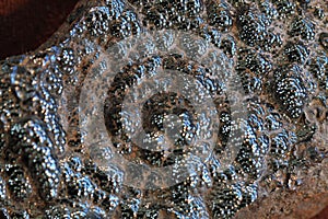 Hematite natural mineral texture