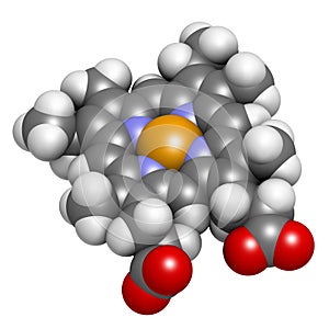 Heme B (haem B) molecule. Heme is an essential component of hemoglobin, myoglobin, cytochrome, catalase and other metalloproteins photo