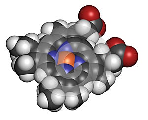 Heme B (haem B) molecule. Heme is an essential component of hemoglobin, myoglobin, cytochrome, catalase and other metalloproteins photo