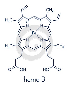 Heme B haem B molecule. Heme is an essential component of hemoglobin, myoglobin, cytochrome, catalase and other metalloproteins. photo