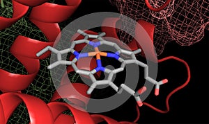 Heme group structure