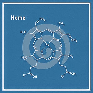 Heme molecule Structural chemical formula
