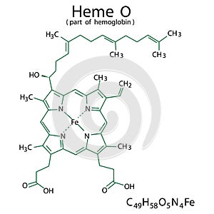 Heme O chemical formula. Part of hemoglobin. Molecular structure. Organic compound. Vector illustration. Stock image.