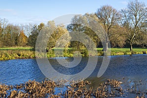 Hemingford Grey Meadow and the Great Ouse river