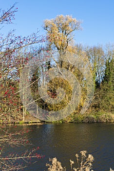 Hemingford Grey Meadow and the Great Ouse river