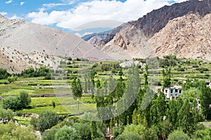 Hemis Shukpachan Village in Sham Valley, Ladakh, Jammu and Kashmir, India