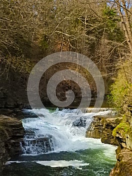 Hemlock Waterfall springtime at Cornell University photo