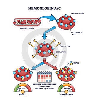 Hemoglobin A1C or HbA1c test for sugar level in bloodstream outline diagram photo