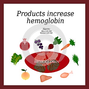 Hemoglobin. Food increases in the blood. Vector illustration on