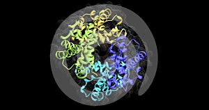 Hemoglobin molecule . View 2 . 3d rendering illustration