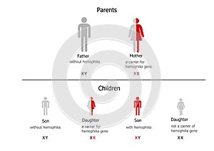 Hemophilia inheritance