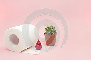 Hemorrhoid, constipation treatment health problems. Toilet paper, a cactus and crochet blood drop on the pink background.
