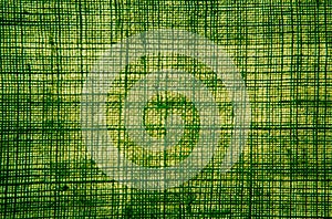 Hemp fiber cloth texture in green color with backlit