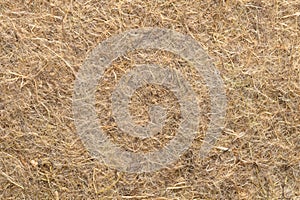 Hemp growing mat, surface and background, close-up, from above