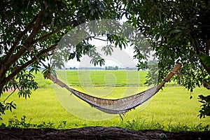 Hemp hammock hanging between the trees with grass field, rice padding background. slow life in the countryside.