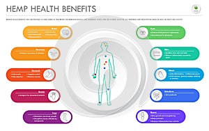 Hemp Health Benefits horizontal business infographic