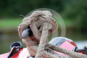 Hemp knot photo