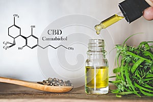 Hemp oil, CBD chemical formula, Cannabis oil in pipette and hemp seeds in a wooden spoon, Medical herb concept
