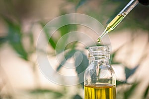 Hemp oil, Medical marijuana products including cannabis leaf, cbd and hash oil, alternative medicine