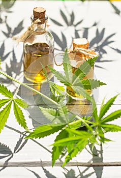 Hemp oil in small bottles