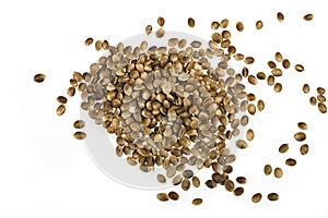 Hemp seed