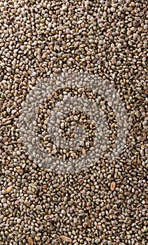 Hemp Seed background