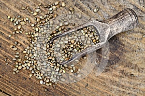Hemp seed in scoop on table
