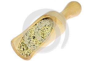 hemp seeds