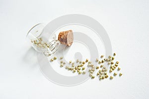 Hemp seeds and bottle for oil on white background.