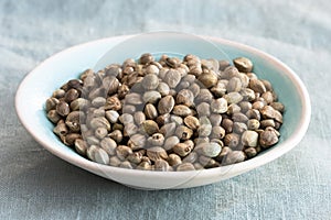 Hemp Seeds in a Bowl