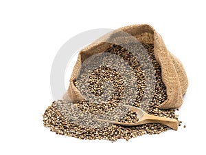 Hemp seeds in a sack