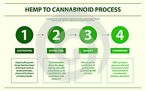Hemp to cannabinoid process horizontal infographic