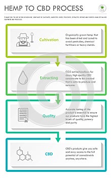 Hemp to CBD Process verticall business infographic