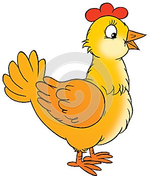 Hen