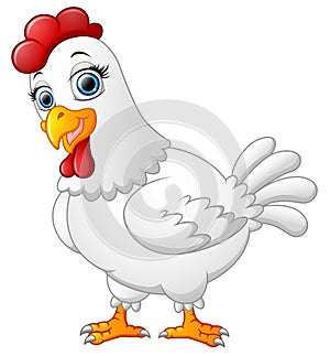 Hen cartoon isolated on whte background