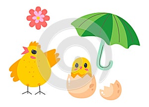 Hen and chicken in eggshell, umbrella and flower