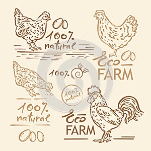 HEN COCK HAND DRAWN FARM SKETCH Lettering Vector Logo Set