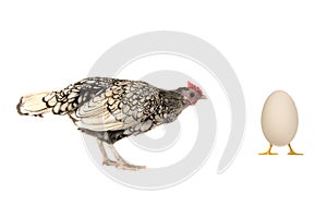 Hen and egg