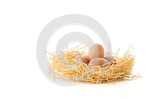 hen egg