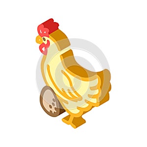 hen egg chicken farm food isometric icon vector illustration