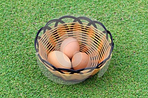The hen egg in fresh spring grass