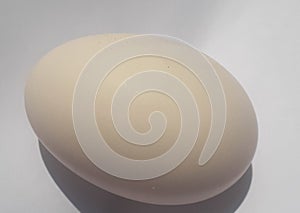 Hen egg isolated on white.