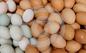 Hen egg in market,Photo of eggs