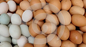 Hen egg in market,Photo of eggs